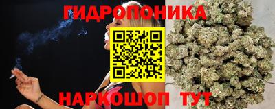 стаф Гусиноозёрск