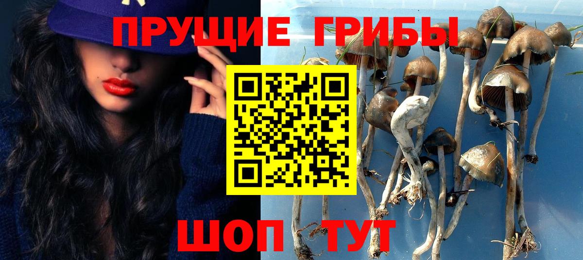 Галлюциногенные грибы мицелий  Вход с VPN  Кимовск 